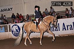 07YN_4226 thumbnail