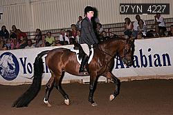 07YN_4227 thumbnail