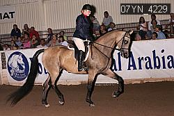 07YN_4229 thumbnail