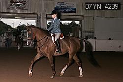 07YN_4239 thumbnail