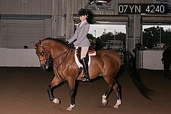 07YN_4240 thumbnail