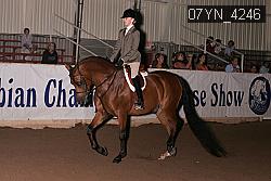07YN_4246 thumbnail
