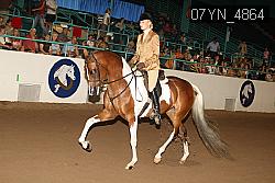 07YN_4864 thumbnail