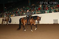 07YN_17390 thumbnail