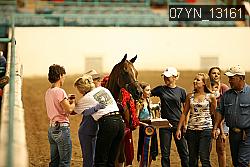 07YN_13161 thumbnail