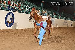07YN_13168 thumbnail