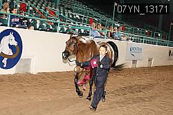 07YN_13171 thumbnail