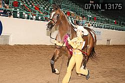 07YN_13175 thumbnail