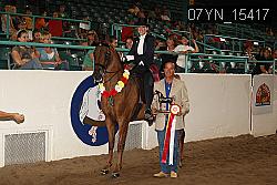 07YN_15417 thumbnail