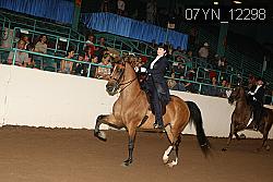 07YN_12298 thumbnail