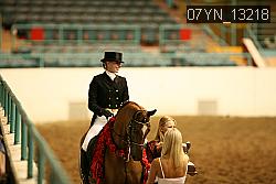 07YN_13218 thumbnail
