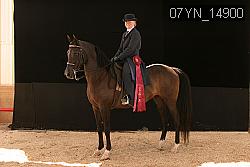 07YN_14900 thumbnail