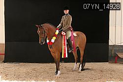 07YN_14928 thumbnail