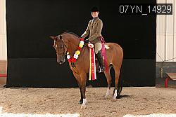 07YN_14929 thumbnail