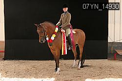 07YN_14930 thumbnail