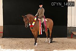 07YN_14931 thumbnail