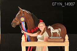 07YN_14987 thumbnail