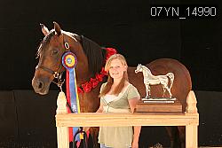 07YN_14990 thumbnail