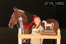 07YN_14992 thumbnail