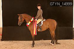 07YN_14999 thumbnail