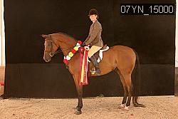 07YN_15000 thumbnail