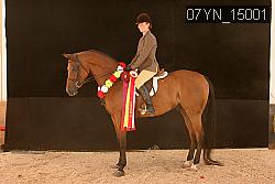07YN_15001 thumbnail