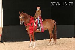 07YN_16178 thumbnail