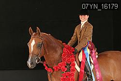 07YN_16179 thumbnail