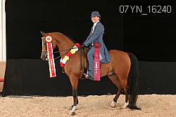 07YN_16240 thumbnail