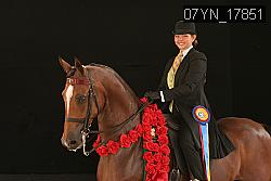 07YN_17851 thumbnail