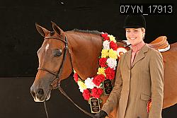 07YN_17913 thumbnail