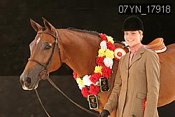 07YN_17918 thumbnail