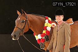 07YN_17921 thumbnail