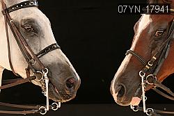 07YN_17941 thumbnail