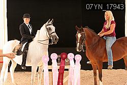 07YN_17943 thumbnail