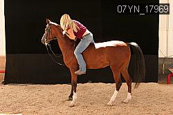07YN_17969 thumbnail