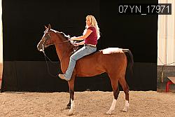 07YN_17971 thumbnail