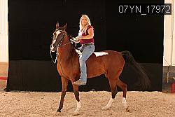 07YN_17972 thumbnail