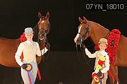 07YN_18010 thumbnail