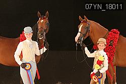 07YN_18011 thumbnail