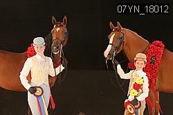 07YN_18012 thumbnail