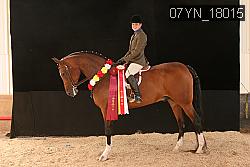 07YN_18015 thumbnail