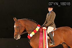 07YN_18018 thumbnail