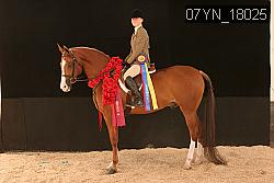 07YN_18025 thumbnail