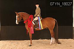 07YN_18027 thumbnail