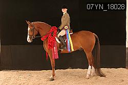 07YN_18028 thumbnail