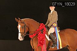 07YN_18029 thumbnail