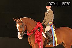 07YN_18030 thumbnail