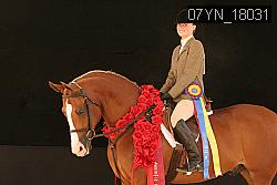 07YN_18031 thumbnail