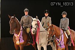 07YN_18313 thumbnail